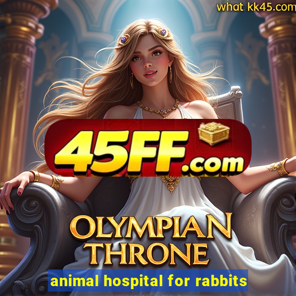 animal hospital for rabbits